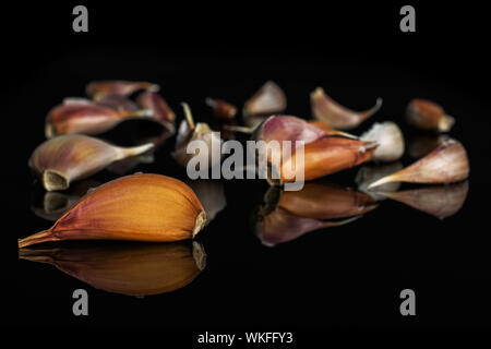 Lotto di pezzi di organico aglio bianco allium sativum isolato sul vetro nero Foto Stock