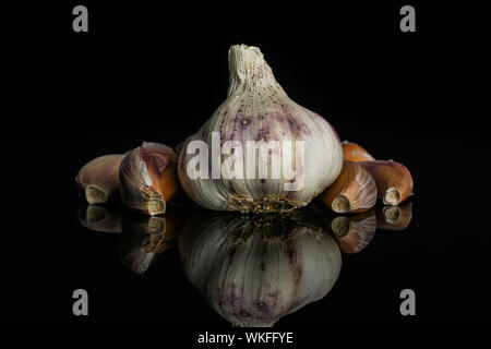 Un intero lotto di pezzi di organico aglio bianco allium sativum isolato sul vetro nero Foto Stock