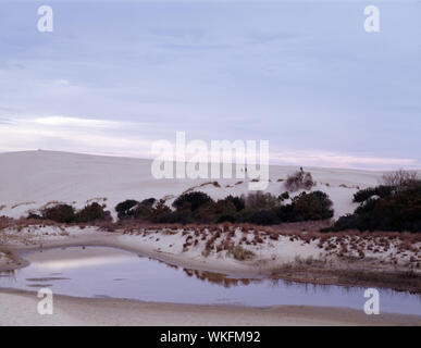 Il Jockey Ridge State Park, North Carolina, parte dell'Est naturale più alte dune di sabbia si trova in testa Nag, Carolina del Nord Foto Stock