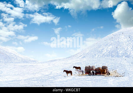 Cavalli su strade coperte di neve hill Foto Stock