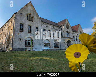 Neustrelitz, Germania. 25 Ago, 2019. Da decenni gli edifici vuoti dell'ex Landesirrenanstalt sul Domjüch. La zona remota all'Domjüchsee era fino al 1945 un regionale manicomio con otto edifici, poi una caserma russa, è stato vuoto dal 1993 e oggi è mantenuta dall'associazione per la salvaguardia del Domjüch e utilizzato per vari eventi. Credito: Jens Büttner/dpa-Zentralbild/ZB/dpa/Alamy Live News Foto Stock