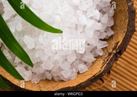 Sale marino con foglie di palma Foto Stock