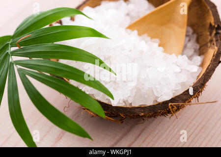 Sale marino con foglie di palma Foto Stock