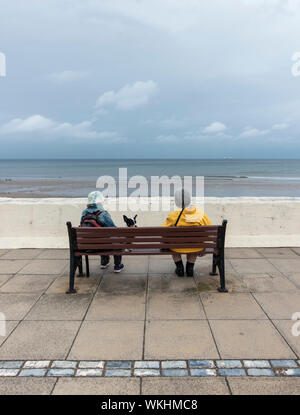 Vista posteriore di due donne mature e cane seduto sul sedile che si affaccia sul mare del Nord su un nuvoloso giorno a Saltburn dal mare, North Yorkshire, Inghilterra. Regno Unito Foto Stock