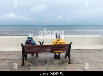 Vista posteriore di due donne mature e cane seduto sul sedile che si affaccia sul mare del Nord su un nuvoloso giorno a Saltburn dal mare, North Yorkshire, Inghilterra. Regno Unito Foto Stock