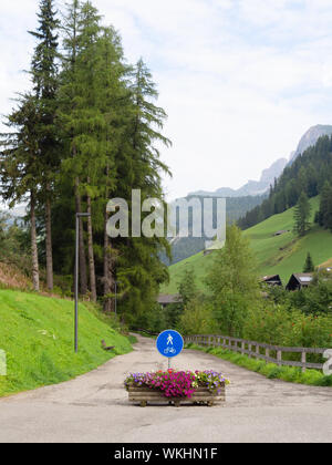 Selva di Val Gardena in Alto Adige, Alto Adige. L'Italia. Composizioni floreali riempire la città e anche servire a bloccare le automobili da ciclo e sentieri escursionistici. Foto Stock