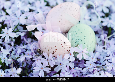 Le uova di pasqua di fuoriuscita da un cesto in un letto di fiori di primavera. Il fuoco selettivo sulla porzione inferiore dell'immagine con estrema shallow DOF. Foto Stock