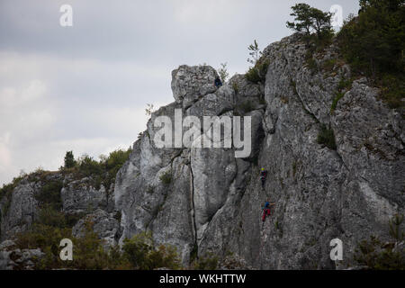 Rovine del castello del XIV secolo in Mirow village, Polonia. Krakow-Czestochowa Upland, il Polacco Jurassic Highland o Polacco Jura. Foto Stock