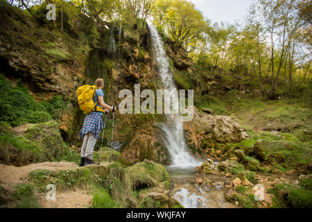 Bel giovane escursionista fermato accanto a una cascata di montagna a riposo Foto Stock