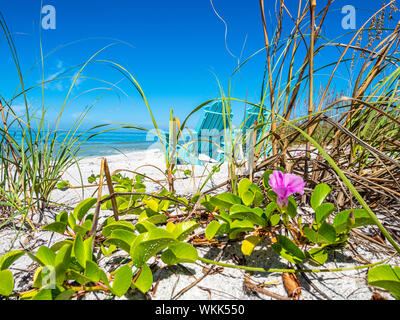 Sedie a sdraio sul Golfo del Messico sulla spiaggia di Longboat Key Florida Foto Stock