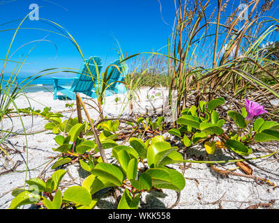 Sedie a sdraio sul Golfo del Messico sulla spiaggia di Longboat Key Florida Foto Stock