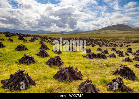 Campo di una pila di tappeto erboso irlandese o essiccazione di Torba in pile in Irlanda nordoccidentale Foto Stock