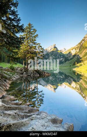 Le montagne si riflette a sunrise nel lago Seealpsee, dietro Santis, Alpstein, cantone di Appenzell, Svizzera Foto Stock