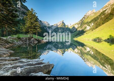 Le montagne si riflette a sunrise nel lago Seealpsee, dietro Santis, Alpstein, cantone di Appenzell, Svizzera Foto Stock