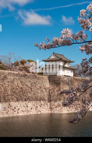 Il Castello di Osaka con fossato per la fioritura dei ciliegi, il parco del Castello di Osaka, Chuo-ku, Osaka, Giappone Foto Stock