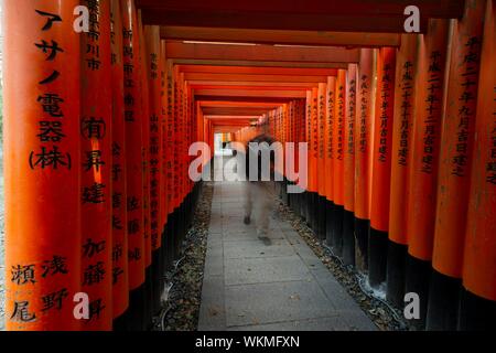 Pedone a Fushimi Inari-Taisha, sacrario scintoista, strada attraverso centinaia di tradizionale rosso Torii gates, Fushimi Inari taisha-Okusha Hohaisho, Kyoto Foto Stock