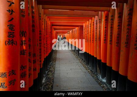 Pedone a Fushimi Inari-Taisha, sacrario scintoista, strada attraverso centinaia di tradizionale rosso Torii gates, Fushimi Inari taisha-Okusha Hohaisho, Kyoto Foto Stock