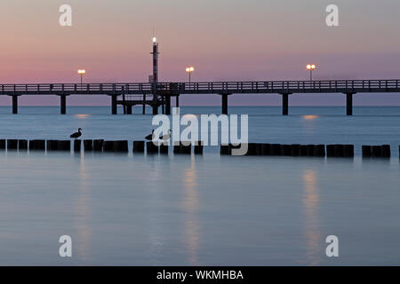 Anatre, pier in serata, Wustrow, Meclemburgo-Pomerania Occidentale, Germania Foto Stock