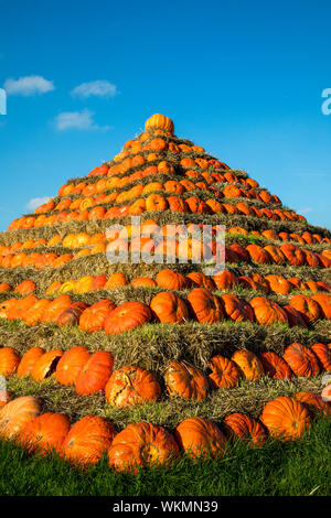 Zucche, costruito come una piramide, in corrispondenza di una fattoria vicino a Dingden, Westmünsterland, Germania Foto Stock