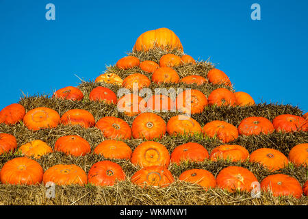 Zucche, costruito come una piramide, in corrispondenza di una fattoria vicino a Dingden, Westmünsterland, Germania Foto Stock