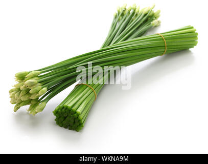 Fioritura aglio erba cipollina isolati su sfondo bianco Foto Stock