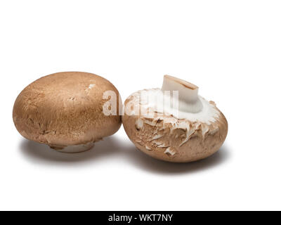 Due funghi champignon isolati su sfondo bianco. Foto Stock