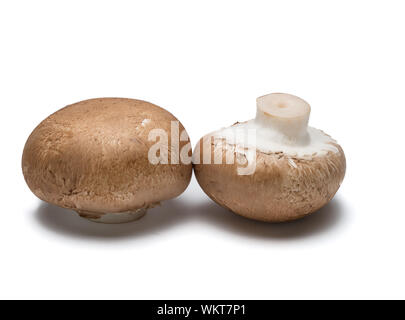 Twocrimini funghi isolati su sfondo bianco. Foto Stock