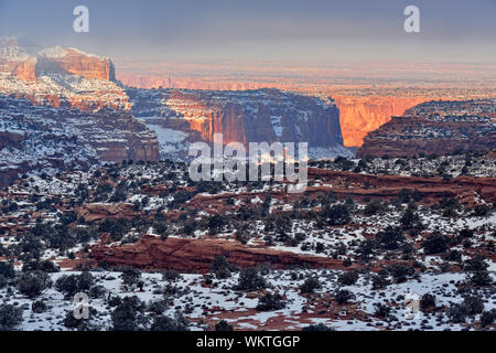 Neve fresca e la nebbia nel canyon in inverno, il Parco Nazionale di Canyonlands, Utah, Stati Uniti d'America Foto Stock