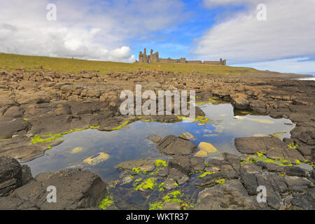 Il castello di Dunstanburgh dalla costa rocciosa sulla costa di Northumberland percorso nei pressi di Craster, Northumberland, Inghilterra, Regno Unito. Foto Stock