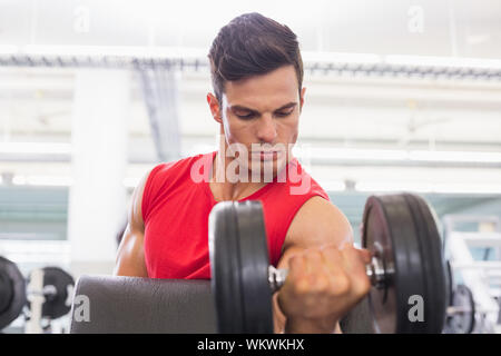 Close-up di un giovane uomo muscolare esercizio con manubrio in palestra Foto Stock