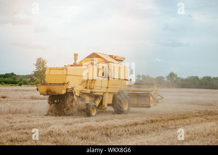 Vecchia mietitrebbia giallo la mietitura del frumento sul campo. Tempo del raccolto Foto Stock