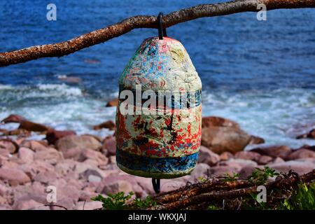 La boa appeso a un albero in Highlands National Park. Foto Stock