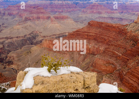 Il Grand Canyon dal South Rim, in inverno, il Parco Nazionale del Grand Canyon, Arizona, Stati Uniti d'America Foto Stock