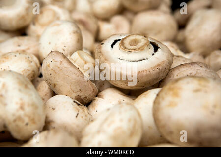 Funghi organico da un mercato locale Foto Stock