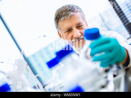 Maschio senior researcher di effettuare attività di ricerca scientifica in un laboratorio Foto Stock