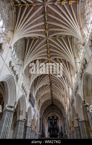 Alla ricerca della navata e con volte a crociera e organo, la Cattedrale di Exeter, Devon, Regno Unito Foto Stock