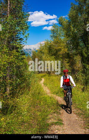 Mountain biker di equitazione su singletrack l'Oca galoppante Trail, Uncompahgre National Forest, Colorado, Stati Uniti d'America (MR) Foto Stock