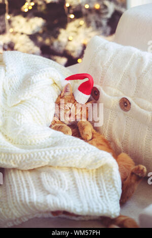 Amabile Lo zenzero cat indossando Santa Claus hat dormire sulla sedia sotto albero di Natale a casa Foto Stock