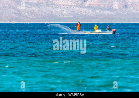 I pescatori in una piccola barca di colata di una rete da pesca in Baja California Sur, Messico. Foto Stock