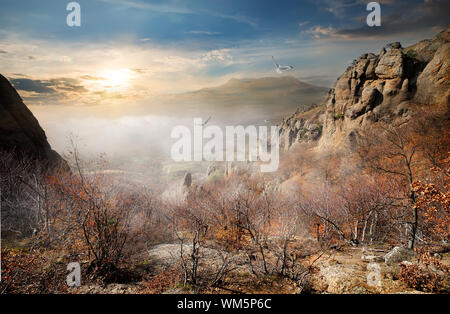 Gli uccelli su rocce di autunno al sunrise Foto Stock