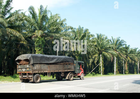 Olio di palma IL TRASPORTO IN MALAYSIA Foto Stock