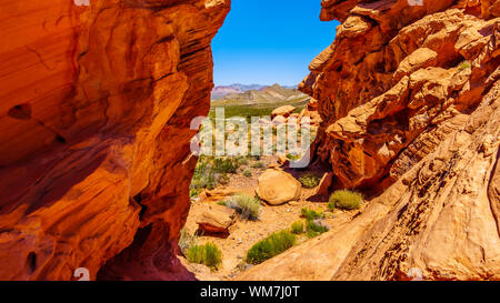 Rocce Rosse lungo Northshore Road SR167 in Lake Mead National Recreation Area corre attraverso semi paesaggio deserto tra Boulder City e Overton, NV US Foto Stock