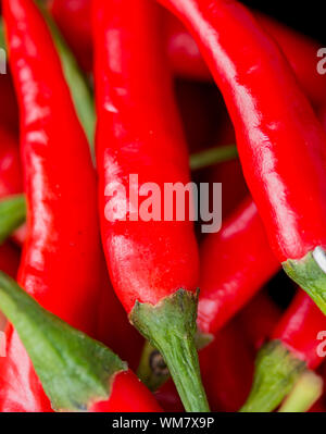 Chili Peppers significato peperoncino rosso e il Cile Foto Stock