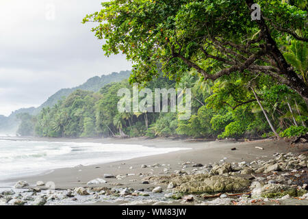 Appartata, spiaggia vuota e la giungla di Corcovado National Park, Costa Rica Foto Stock