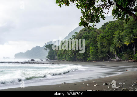 Appartata, spiaggia vuota e la giungla di Corcovado National Park, Costa Rica Foto Stock