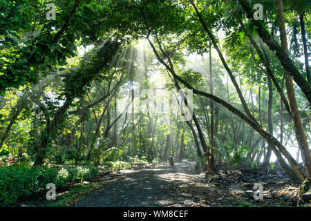 I fasci di luce brillare attraverso la foresta di pioggia su escursionista - Parco Nazionale di Corcovado, Costa Rica Foto Stock