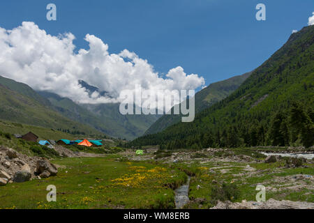 Paesaggi verdi vicino Chitkul in Himachal Pradesh, India, Foto Stock