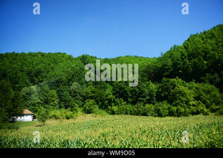 Paesaggi incontaminati in western Serbia. Foto Stock