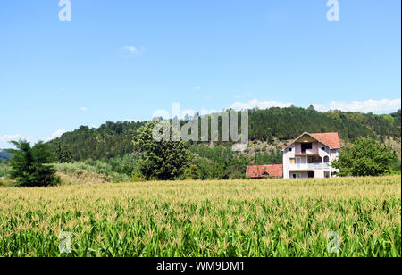 Paesaggi incontaminati in western Serbia. Foto Stock