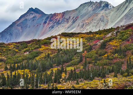 Spettacolari montagne colorate e scenario autunnale lungo la Richardson Highway, Alaska Foto Stock